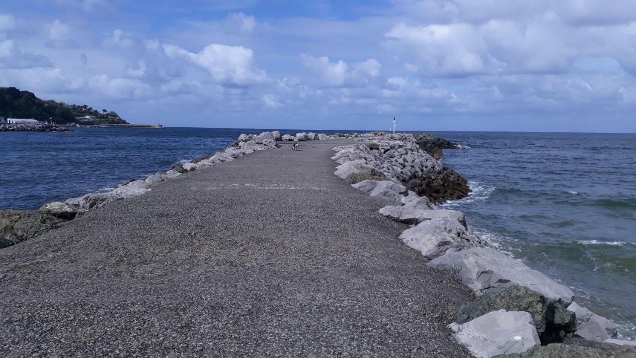 Les Hirondelles 2Km De La Plage-Jardin-Wifi-Parking-Draps Et Serviettes Hendaye Ngoại thất bức ảnh